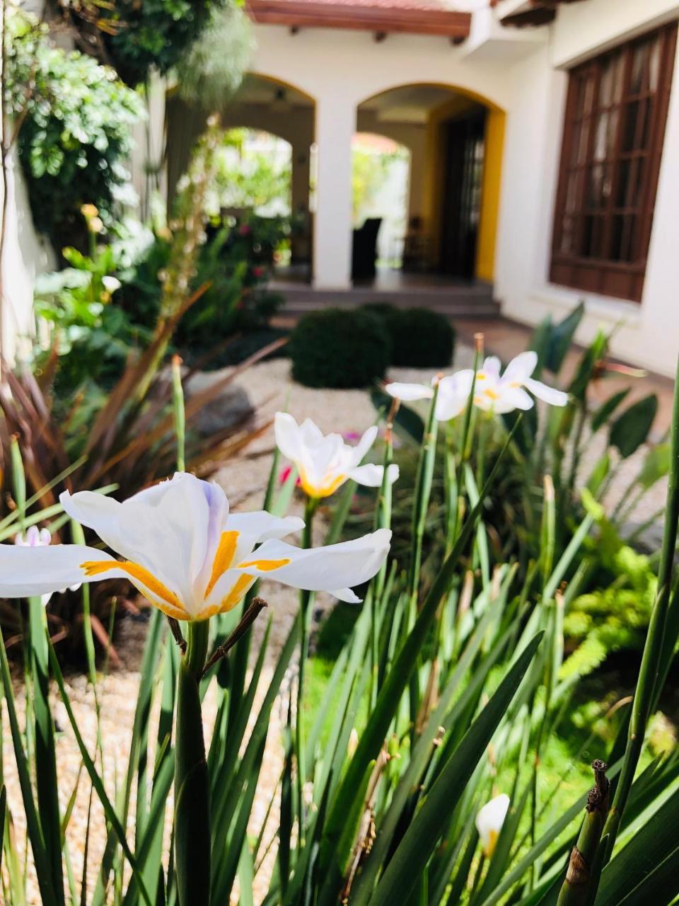 Hotel Boutique La Casa De Margarita 科恰班巴 外观 照片